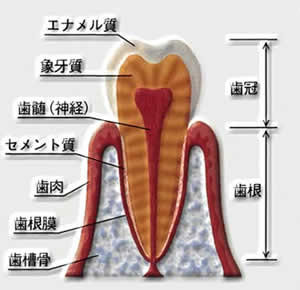 endo0