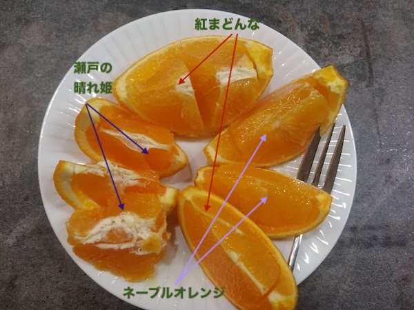 マイナポイントの続き