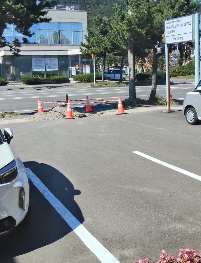 掘っては何かして